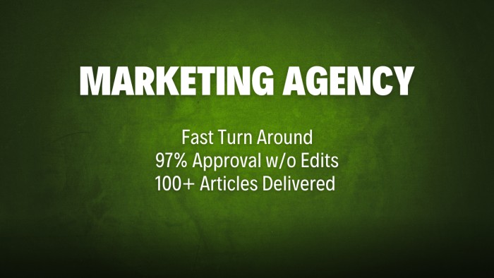 case study - cannabis marketing agency